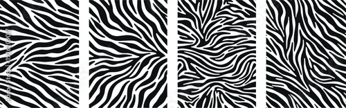 A close-up view of a zebra pattern with black and white stripes, illustrating a wildlife theme in a graphic design context.