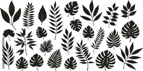 Collection of various black silhouetted leaves and foliage on a clean background from a straightforward viewpoint