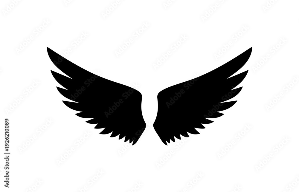 Fototapeta premium Black Wings Silhouette
