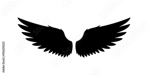 Silhouette of Angel Wings