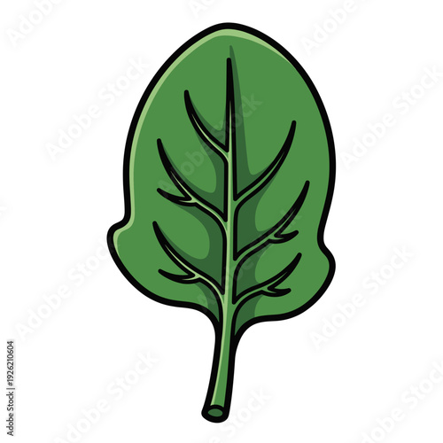 Single green spinach leaf with visible veins and thick black outline Isolated transparent background ( include cut-out PNG file )