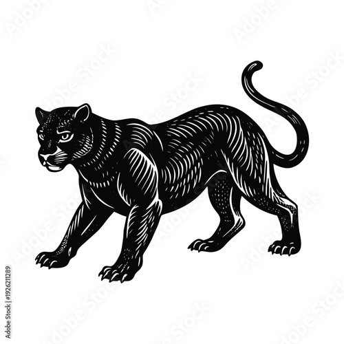 Black Panther Stalking