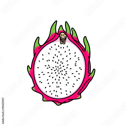 Vibrant pink dragon fruit half with white flesh and black seeds on white background. Isolated transparent background ( include cut-out PNG file )