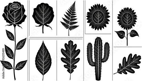 Botanical icon set, 10 icons. Includes rose, sunflower, cactus, leaf, fern. Created in black and white line style.