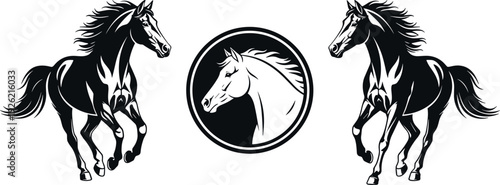Horse emblem illustration, galloping horse artwork, equestrian logo design, symmetrical animal figures, circular emblem concept, black white graphic, decorative branding icon