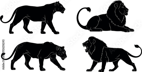 Lion silhouettes collection, male female lions artwork, wildlife predator illustration, roaring standing walking postures, nature animal icons, black white design graphics