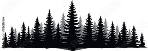 Stylized forest illustration, coniferous tree silhouettes, pine fir woodland artwork, nature design elements, environmental concept graphics, mirrored landscape composition, artistic symmetry