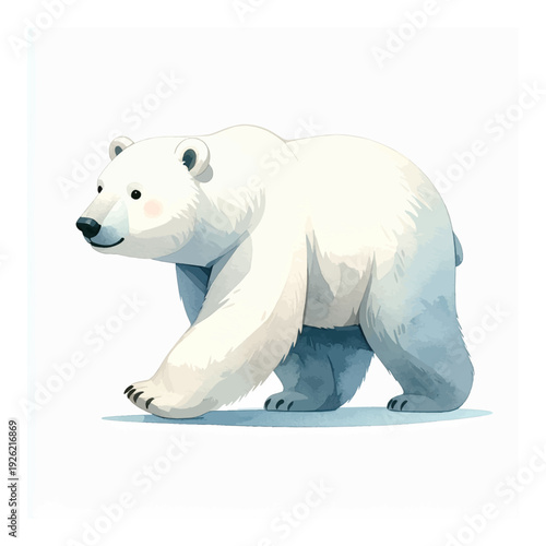 A polar bear walking on white background.