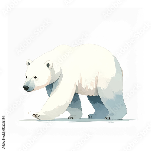 A polar bear walking on white background.