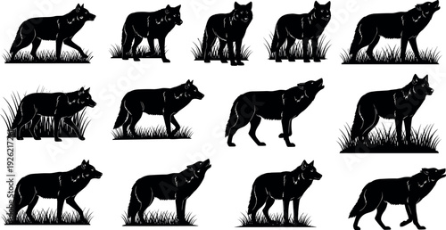Wolf silhouettes collection, animal posture illustration, wildlife predator icons, standing and walking wolves, nature artwork set, forest creatures outline, shadow graphics design