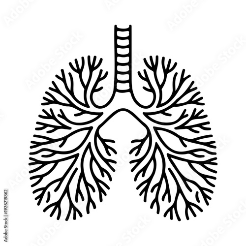 Human Lungs Anatomy Line Art Vector Illustration Respiratory System Medical Outline Icon