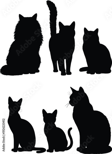 Silhouette of various cat poses in black, showcasing different sitting and standing cat shapes, ideal for pet lovers, home décor, and digital illustrations.