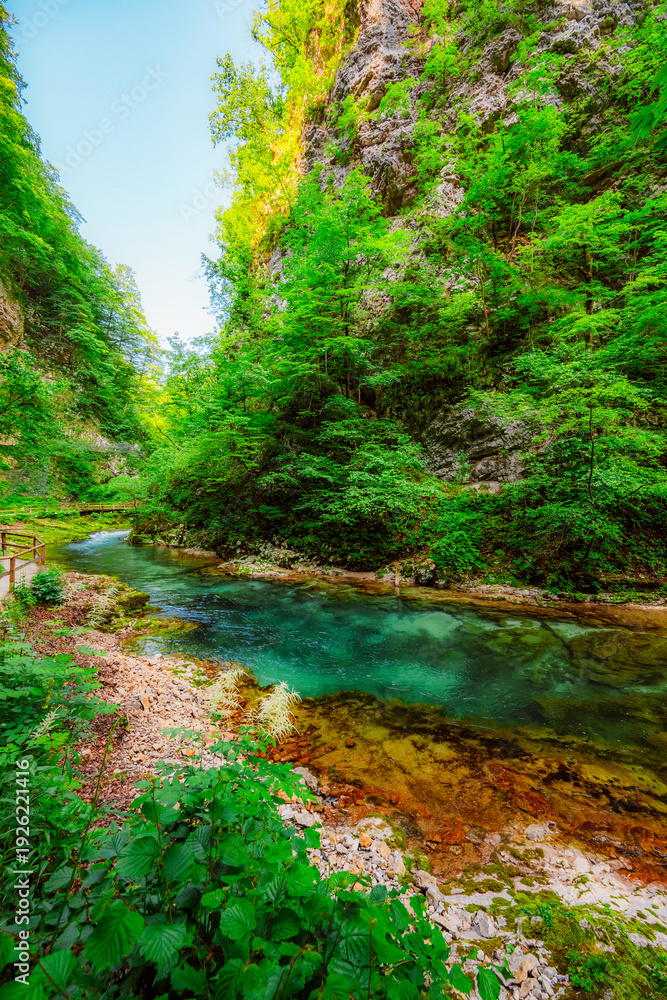 Obraz premium Wooden walkway through the Vintgar gorge near Bled lake in Slovenia, breathtaking views of the Radovna river