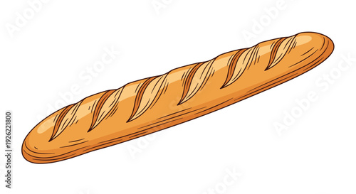 Classic French baguette loaf with a golden-brown crust and diagonal slashes, depicted in a detailed cartoon vector illustration.