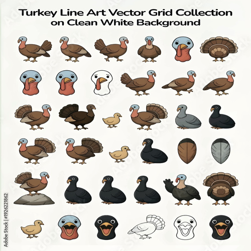 Turkey Illustration Isolated on White Background