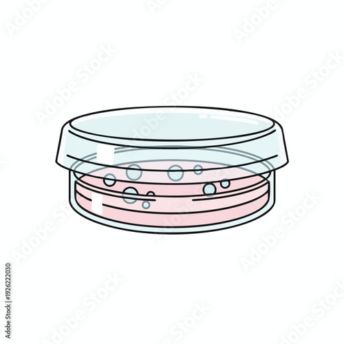 Open Compact Powder Case with Mirror and Powder Puff for Beauty and Makeup Use