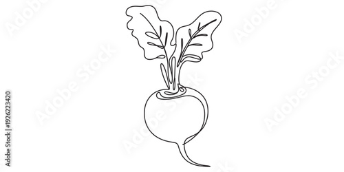 Simple black and white line drawing of a single beet with green leaves on top. Vector, illustration