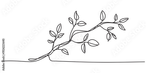 Continuous line drawing of a delicate tree branch with small leaves on a white background. Vector, illustration
