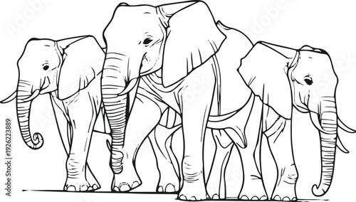 Elephant herd silhouette style outline (3 elephants), minimal overlapping lines, clean negative spacing, no gradients 1