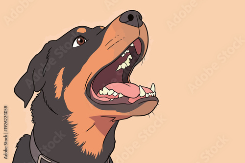 A Rottweiler dog is shown with its mouth open, possibly barking or showing excitement against a simple background.