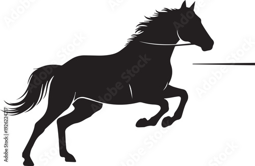 Jumping horse vector silhouette illustration line art on transparent background