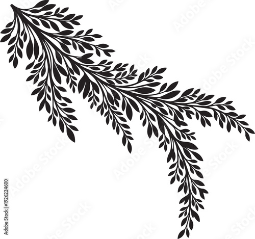 Graceful vine branch vector silhouette illustration with delicate hanging leaves line art
