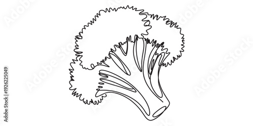 A simple black and white line drawing of a fresh broccoli floret on a plain white background. isolated on white background, Vector, illustration