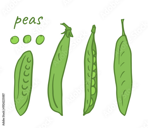 peas and pods in fresh green tones with minimal line art style for menus, packaging, recipe cards, blogs, icons, and branding. flat hand-drawn vector illustration