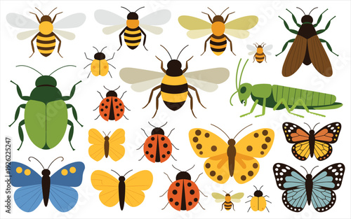 Collection of Various Insects Vector Illustration Isolated on White Background