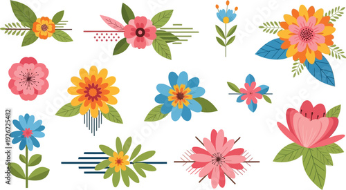 Vibrant floral illustrations of various flowers