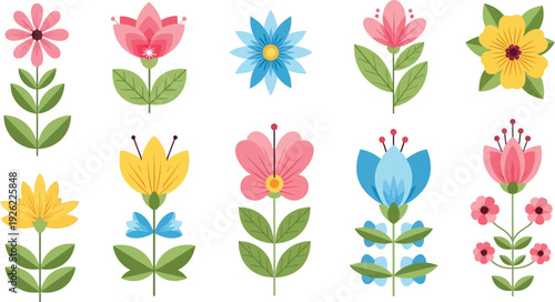 Vibrant watercolor floral illustrations