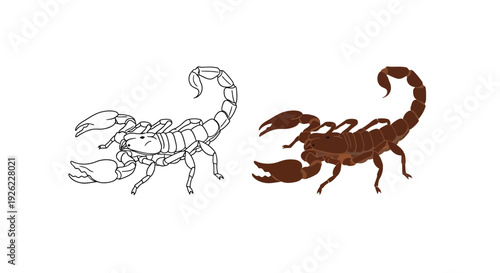 Illustration showing a side by side comparison of a detailed brown scorpion vector graphic next to its simple black and white line art outline version.