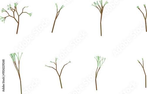 Variety of bare and budding tree branches