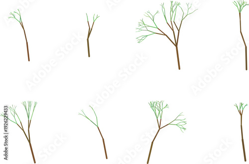 Variations of bare and leafy tree branches