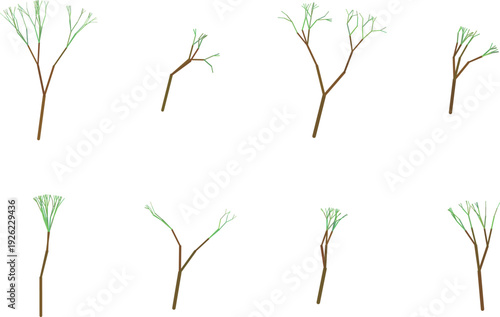 Collection of bare and blooming tree branches