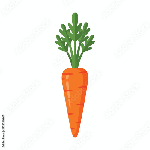 Fresh Organic Carrot with Green Leaves on White Background