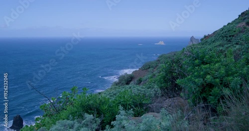 Rugged Green Coastline at Dusk, Tenerife Canary Islands Spain