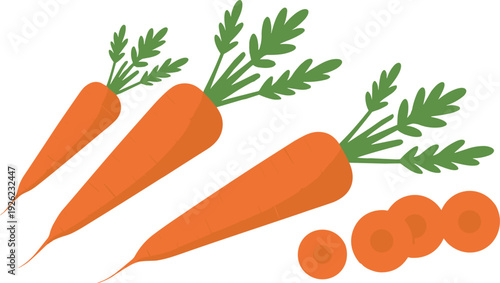 Fresh carrot vegetable illustration, flat minimalist organic food design with whole carrots and slices vector artwork