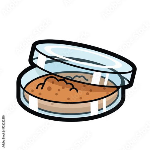 Brown powder makeup in a transparent round container