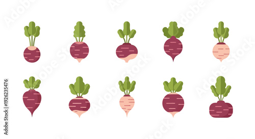 Assorted beets in various stages of ripeness arranged in a grid pattern on a plain surface viewed from directly above