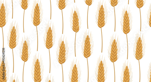 Seamless pattern of golden wheat ears on stalks standing against a white background for bakery and farm concepts.