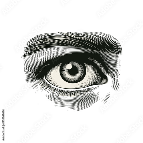 Detailed Human Eye Woodcut Engraving Illustration, Vintage Black and White Style