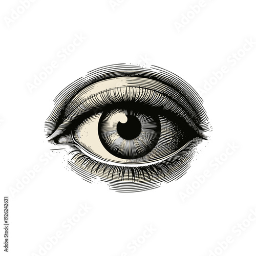Vintage Engraved Human Eye Illustration, Detailed Woodcut Style for Vision and Sight Concept