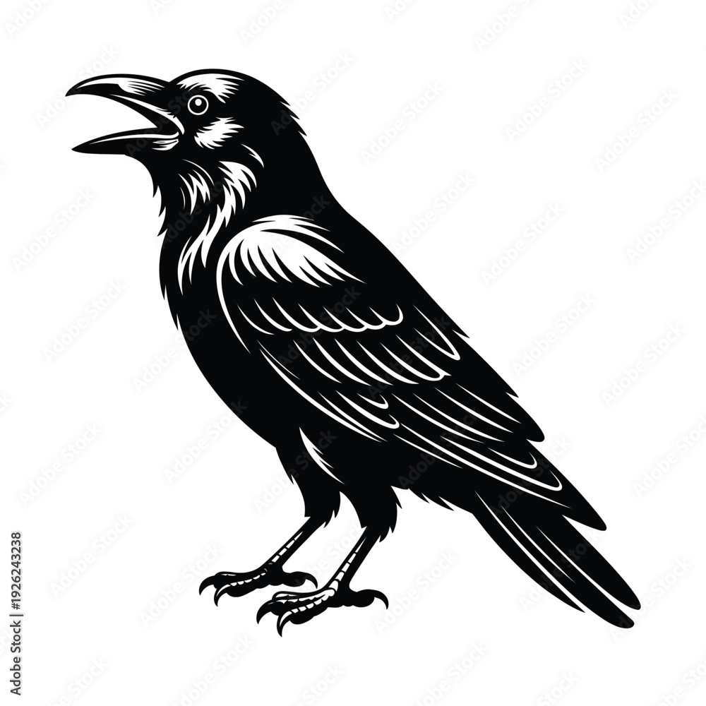 Obraz premium Screaming Crow Bird Vector Illustration Detailed Flat Style Vector
