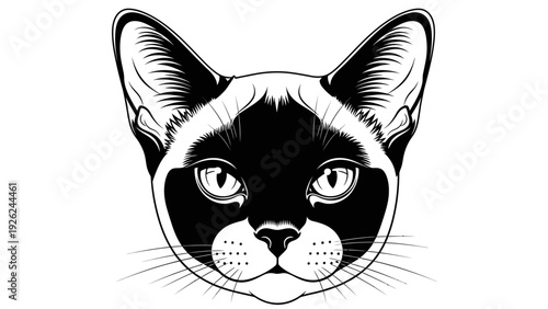 Siamese Cat Face, Black and White Line Art, Elegant Feline Portrait, Minimalist Pet Illustration