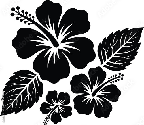 Hibiscus flower silhouette vector illustration, black tropical blooms buds and leaves for Hawaiian summer nature beauty vacation and floral decorative