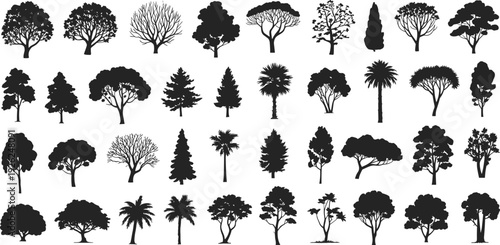 Tree silhouette collection set, deciduous and evergreen trees isolated on white background, black botanical nature vector illustration