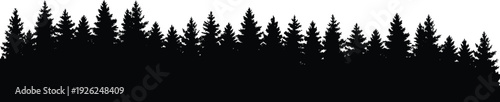 Evergreen pine forest silhouette panorama, dense conifer tree line isolated on white background, black woodland landscape vector illustration