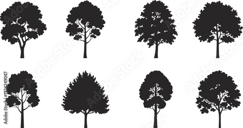 Realistic forest tree silhouettes set, detailed leafy trees isolated on white background, black botanical nature vector collection