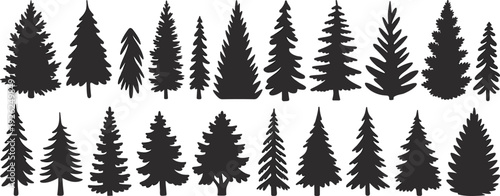 Fir and pine tree silhouettes collection, evergreen conifer forest elements isolated on white background, black nature vector set